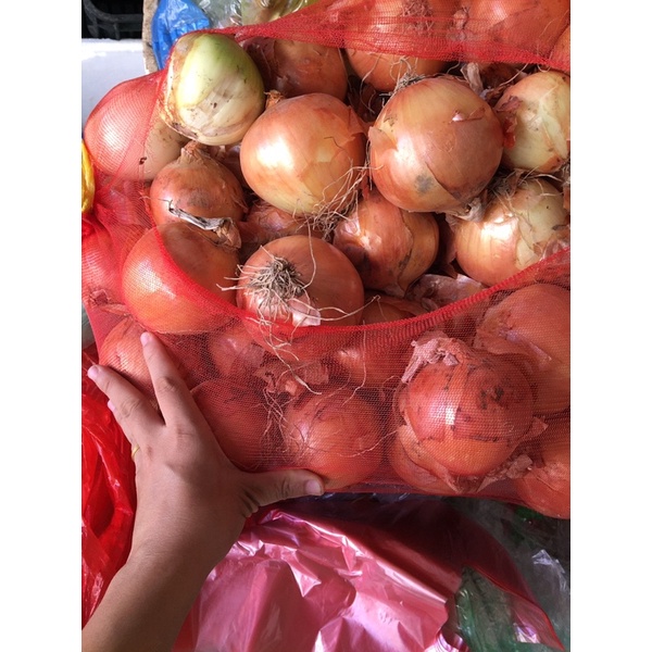 1Kg Hành Tây củ ngon không hỏng- hàng tươi ngon mỗi ngày
