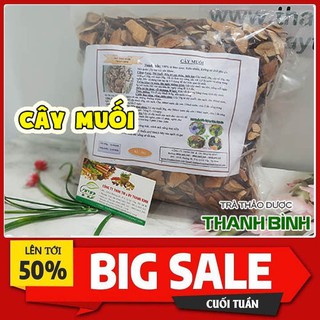 Cây Muối 500g - Thu Hái 100% Tự Nhiên