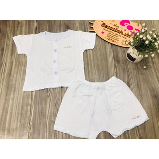 bộ cộc noubaby
