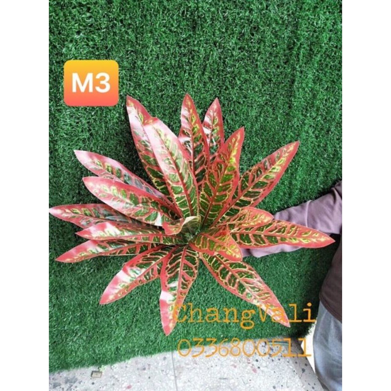 Cây giả - cây trang trí loại lớn - nhiều mẫu