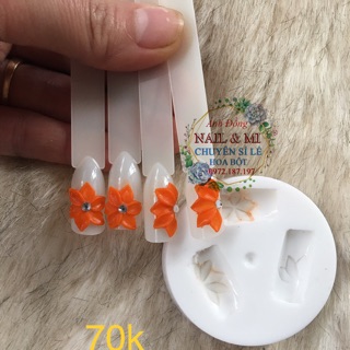 Khuôn hoa cánh nhọn, khuôn hoa nail