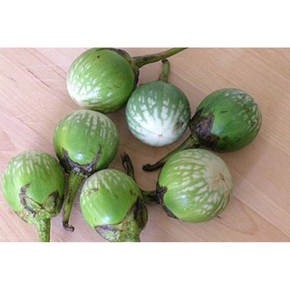 Hạt giống CÀ BÁT XANH