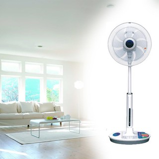 Quạt lửng Lioa có điều khiển