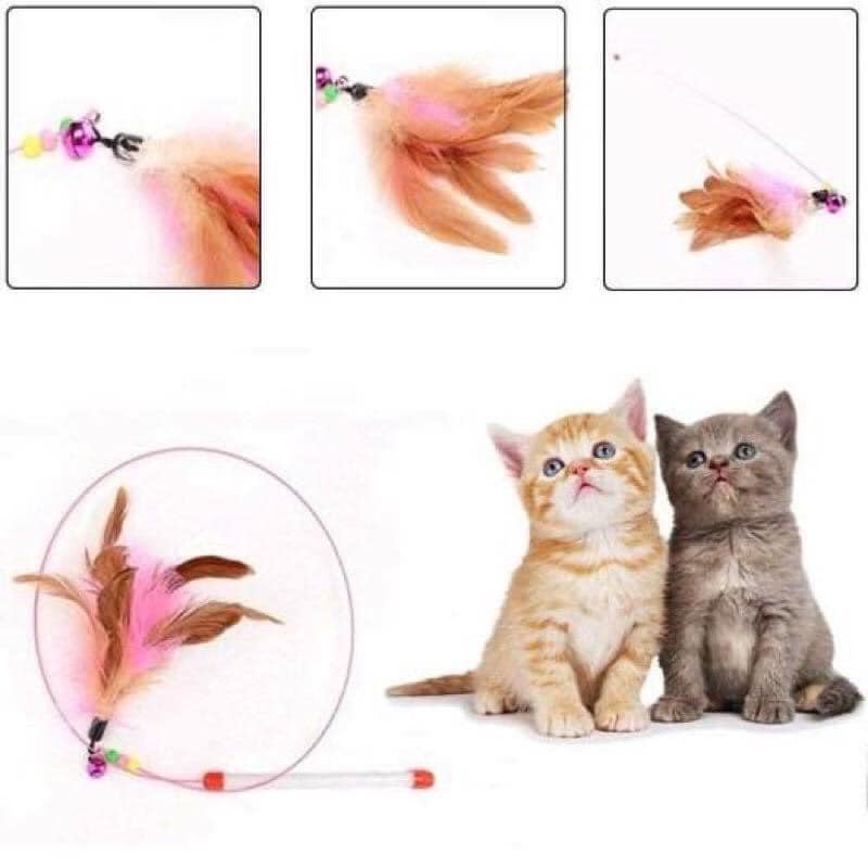 Đồ chơi cần câu cho mèo vui đùa