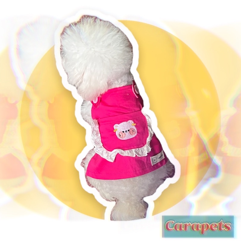 Yếm Gấu cao cấp cho thú cưng