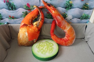 GỐI THỨC ĂN 3D