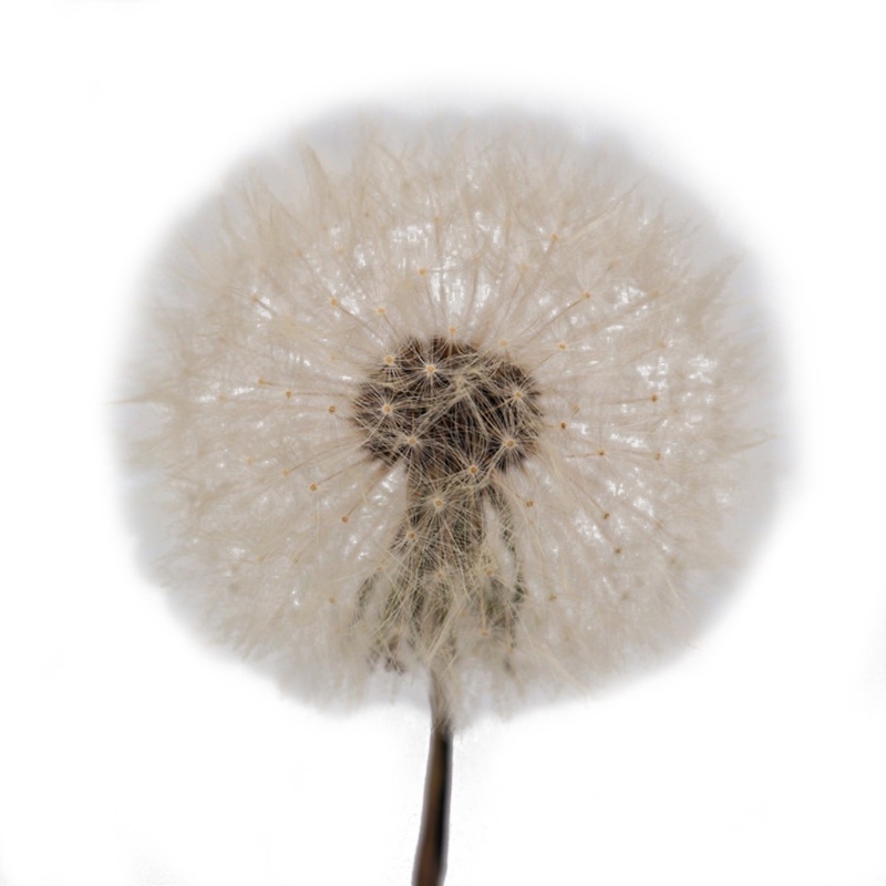 [Hàng mới về] Khuôn silicone làm đèn led hình quả cầu pha lê epoxy trang trí nhà cửa