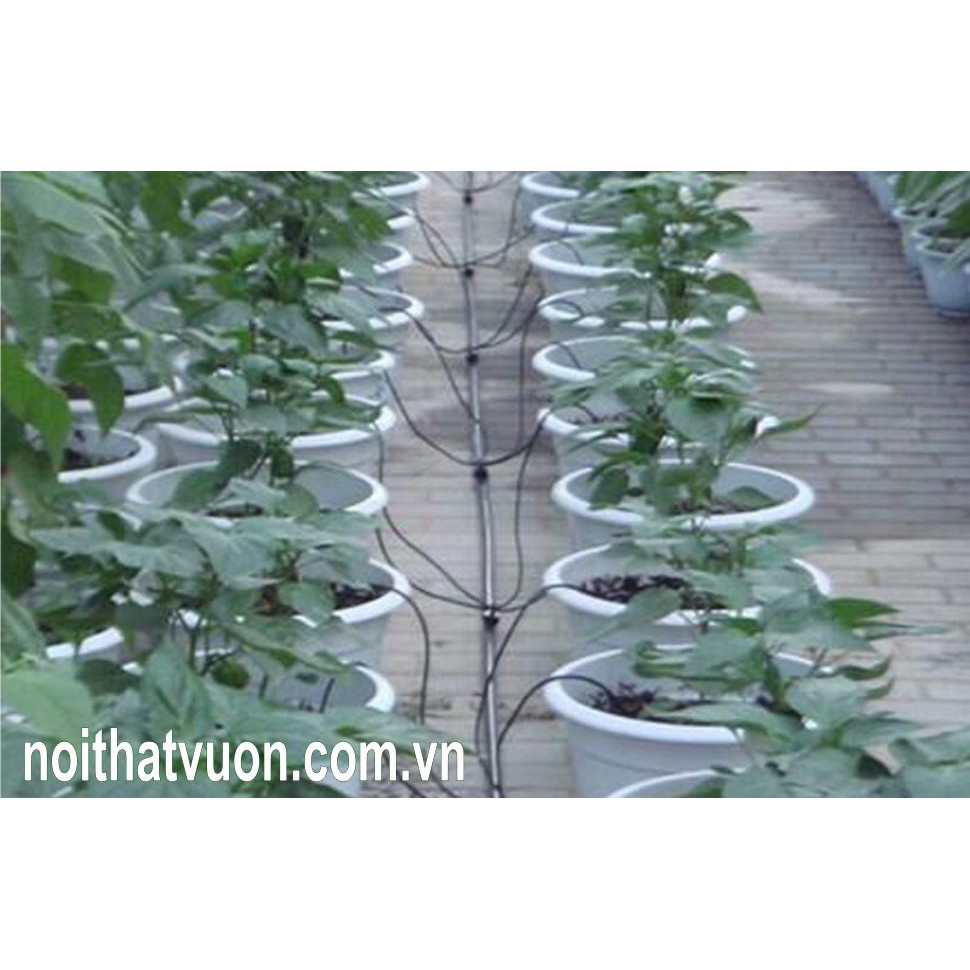 Bán Dây tưới nhỏ giọt cắm gốc 2 nhánh chất lượng tốt.