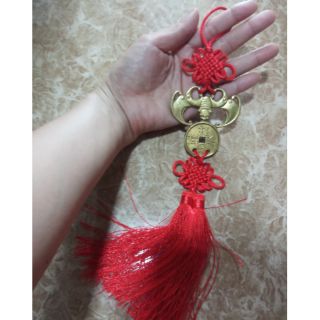 Dơi ngậm tiền ( phúc tinh) dài 7cm