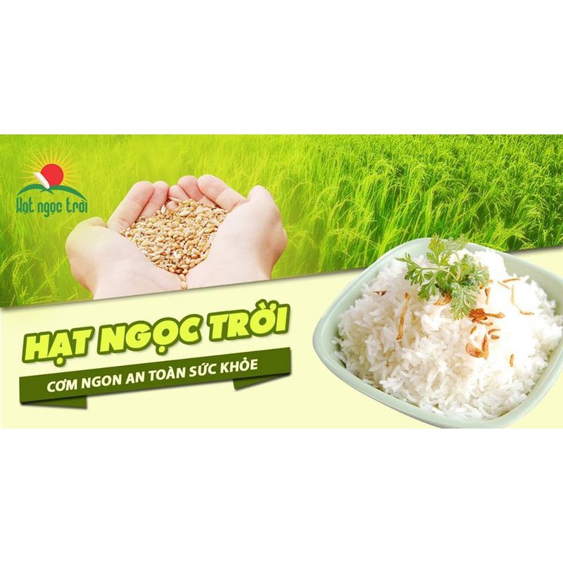 Gạo Hạt Ngọc Trời Bạch Dương túi 5kg - gạo trắng hạt dài dẻo vừa thơm lài