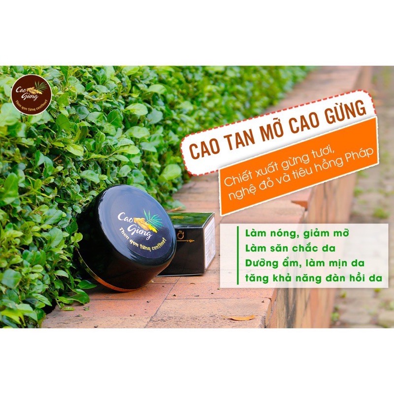 CAO GỪNG CHÍNH HÃNG - TAN MỠ , GIẢM CÂN