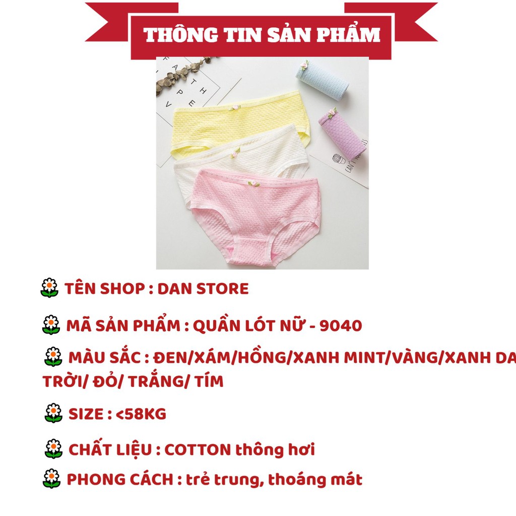 Quần Lót Nữ Cotton thông hơi thoáng mát đính nơ đáng yêu quyến rũ mẫu 9040 | BigBuy360 - bigbuy360.vn