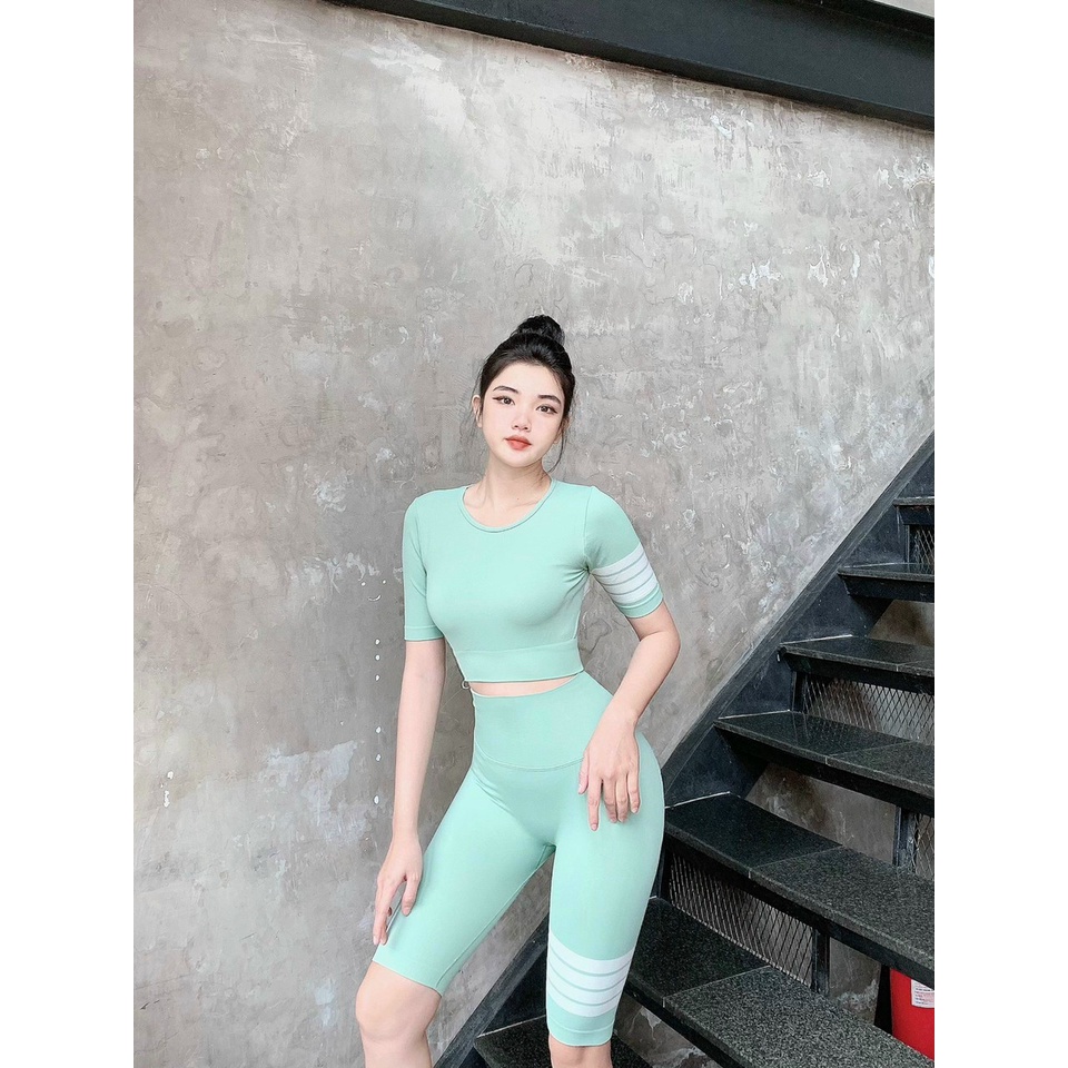 Set bộ đồ tập gym yoga nữ dệt kim áo crop ngắn tay, quần đùi ngố chun mông cao cấp Bin Sports BL023