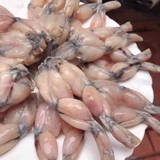 Thịt đùi ếch tươi 1kg ship hoả tốc hcm