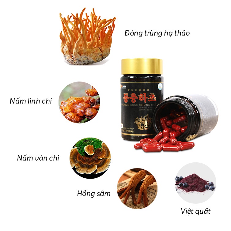 - VIÊN UỐNG ĐÔNG TRÙNG HẠ THẢO HÀN QUỐC THƯỢNG HẠNG