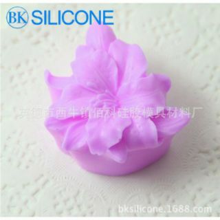 Khuôn hoa lan 4d silicon khuôn rau câu