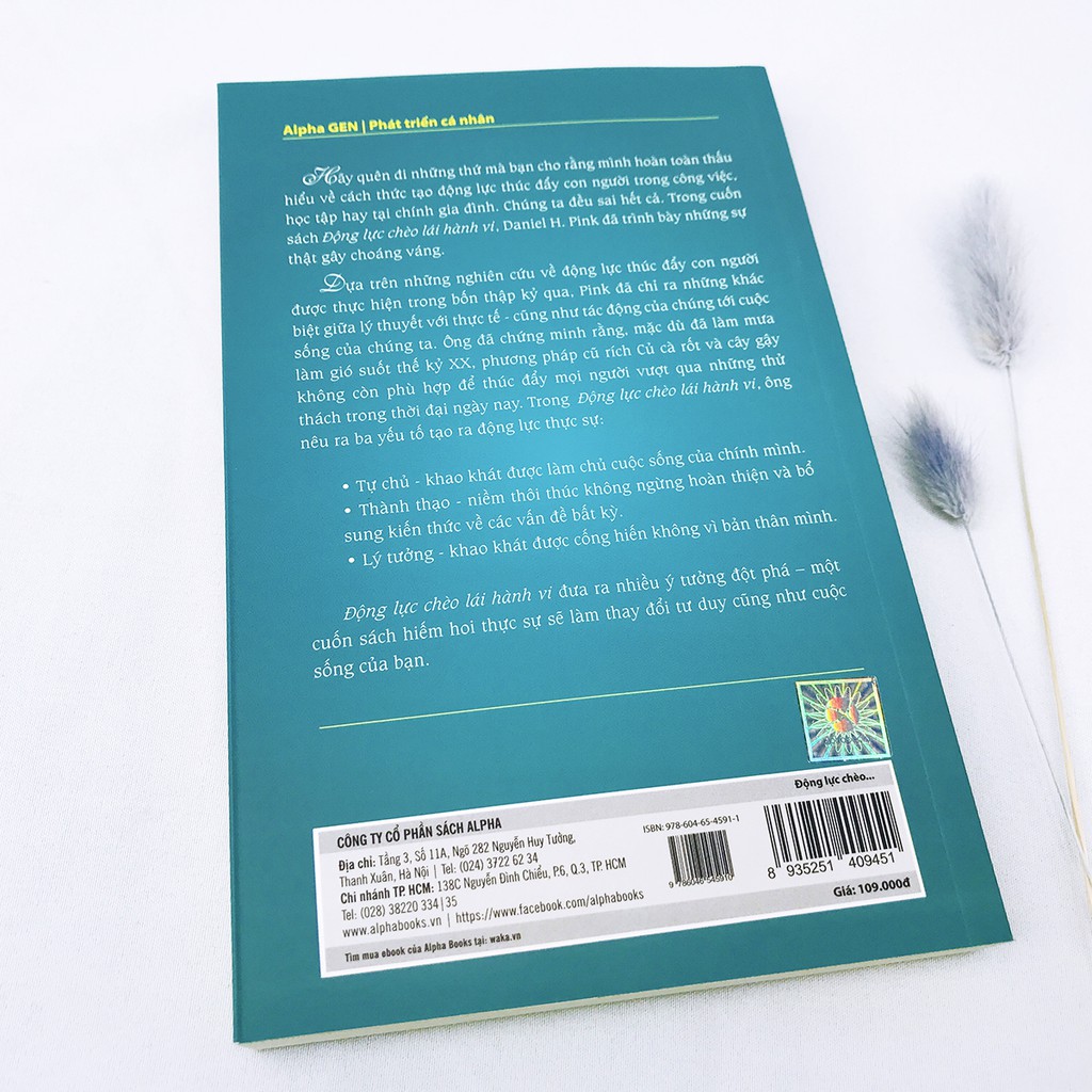 Sách - Động Lực Chèo Lái Hành Vi - Sự thật kinh ngạc về những động cơ thúc đẩy hành động của con người - Thanh Hà Books