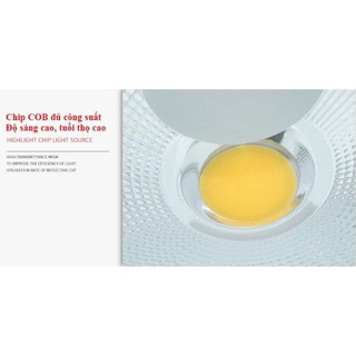 Đèn Led âm trần Chíp COB 20W