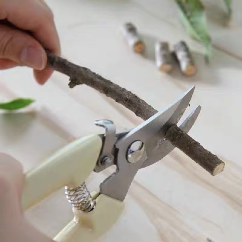 Kéo Cắt Cành Cây, Kéo Cắt Tỉa Chuyên dụng Chất liệu Thép không gỉ