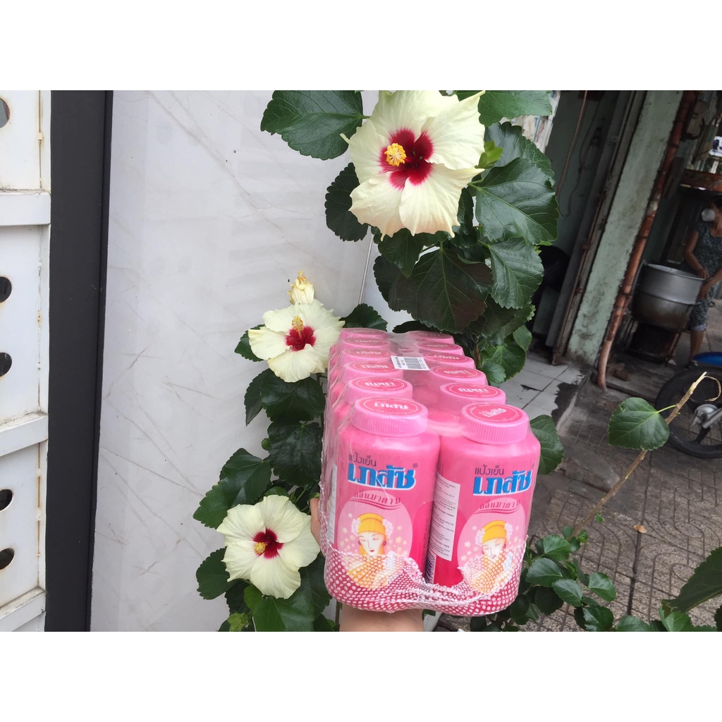 Phấn lạnh Bhaesaj Thái Lan - con chim Bồ Câu 50gr thơm mát làn da