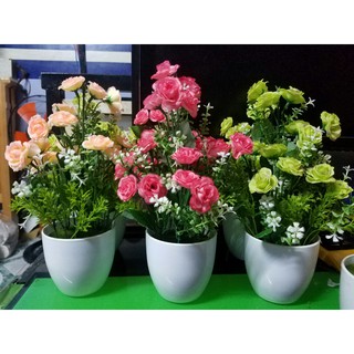 Chậu hoa hồng trang trí