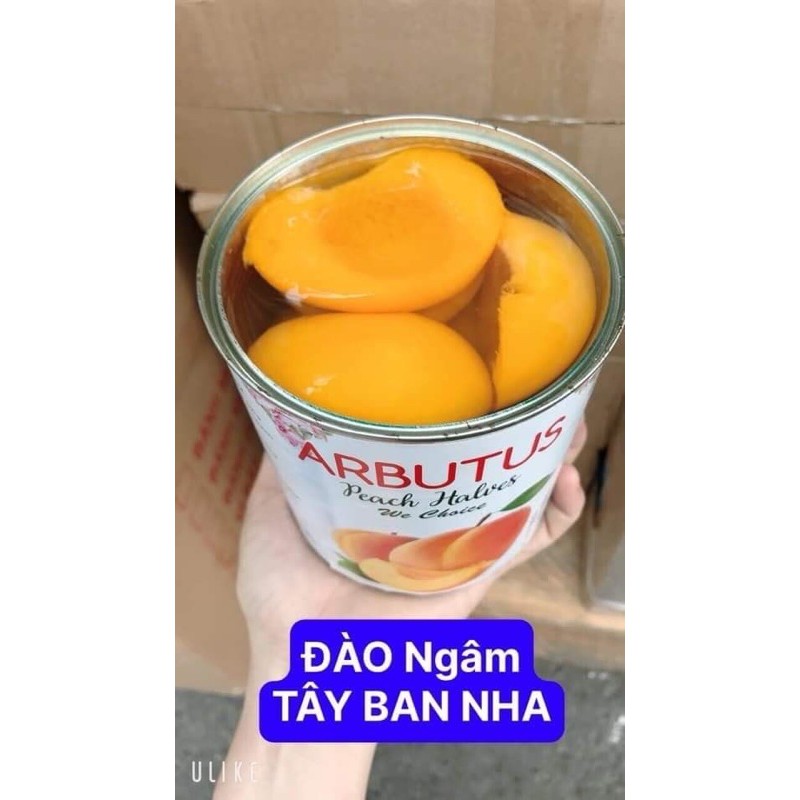 ĐÀO NGÂM ARBUTUS TÂY BAN NHA