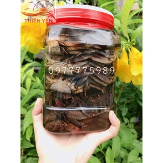 Mắm Ba Khía Đặc Sản Năm Căn_Cà Mau🦀🦀🦀