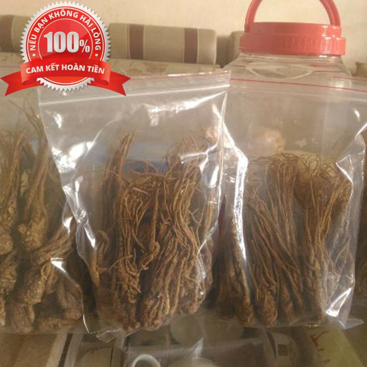 Sâm đương quy tươi nguyên củ (gói 2 củ 1kg) | BigBuy360 - bigbuy360.vn