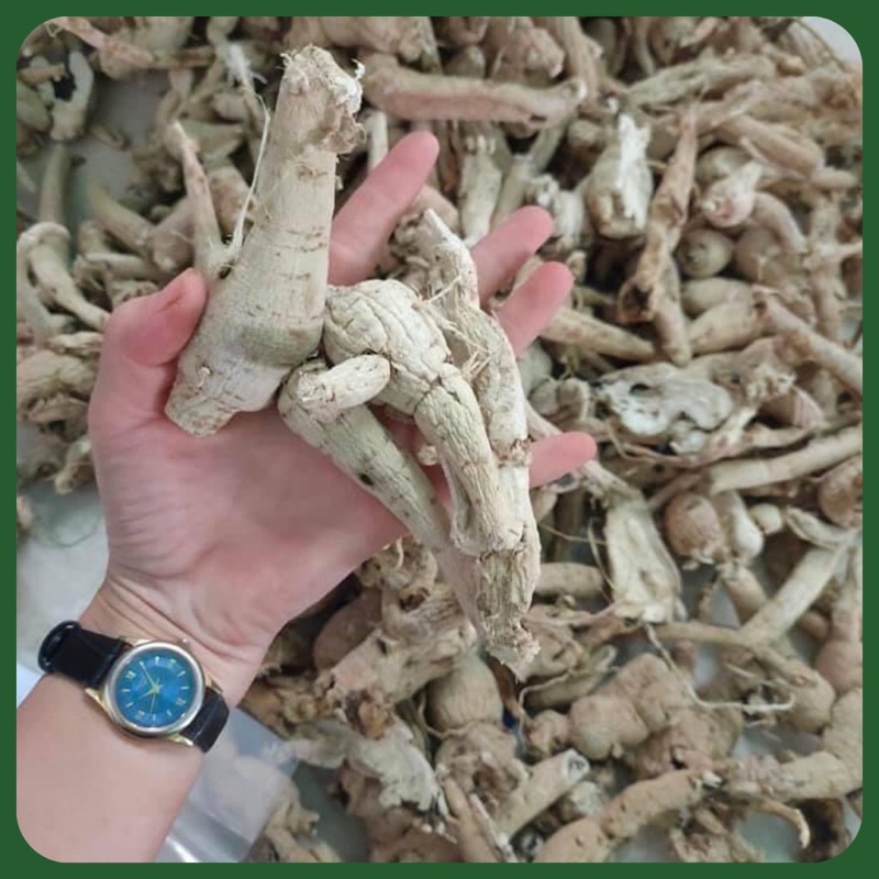 Sâm Bố Chính Khô Thượng Hạng Giúp Tăng Cường Sinh Lý, Gout, Cao Huyết Áp, Tiểu Đường, Bồi Bổ Sức Khoẻ Túi 500gr - 1kg