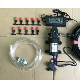 máy phun sương tưới lan 10 béc