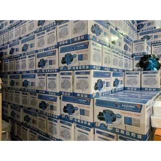 Máy bơm nước KAZUMA 0.5hp