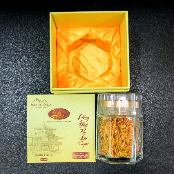 Đông trùng hạ thảo Sapa sấy khô điều hòa huyết áp, tim mạch lọ 20g - 1234537