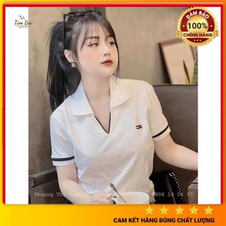 , Áo phông polo nữ cổ V, Áo thun polo nữ cổ V chất liệu cá sấu siêu đẹp