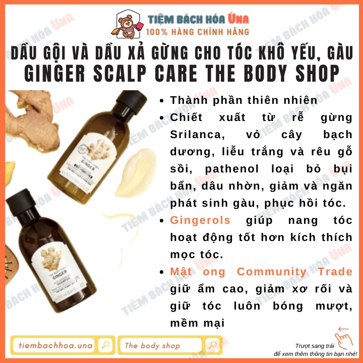 Dầu gội và dầu xả gừng chăm sóc tóc gàu, bết The body shop Ginger Anti-Dandruff