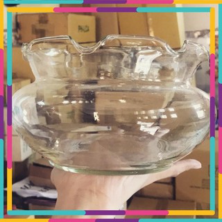 Bể thủy tinh miệng bèo dk miệng 24cm x chiều cao 10cm -B18