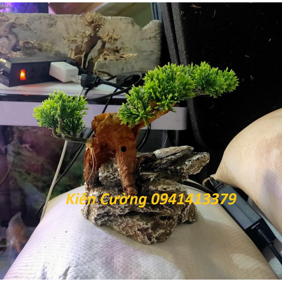 Cây gỗ lũa thủy sinh cho bể cá cảnh, gỗ lúa cao cấp (Mẫu 6)