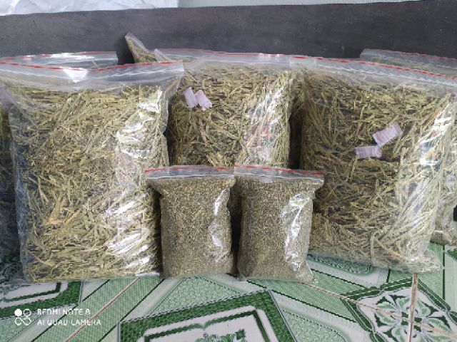 [1kg] Cỏ alfalfa