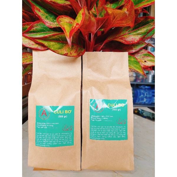 Cafe Culi nguyên chất lựa chín Buôn Mê Thuộc 500g