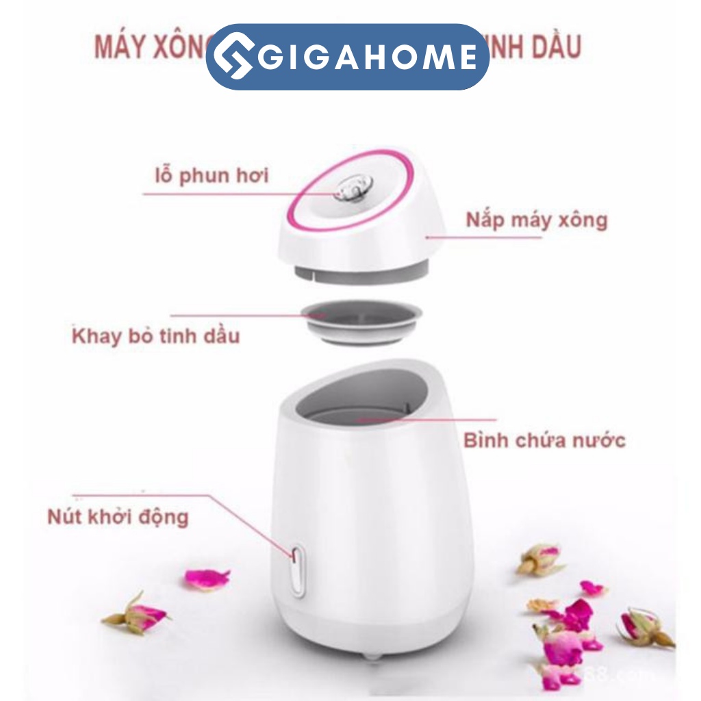 Máy Xông Hơi Da Mặt Hoa Quả Tươi Tự Động 2in1 GIGAHOME Loại Bỏ Bụi Bẩn Cho Da 4074