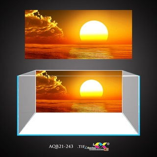 Tranh 3D dán hồ cá - bể thủy sinh mẫu mặt trời siêu đẹp và nét, có keo sẵn trên bề mặt, đa dạng kích thước (AQB21-243)