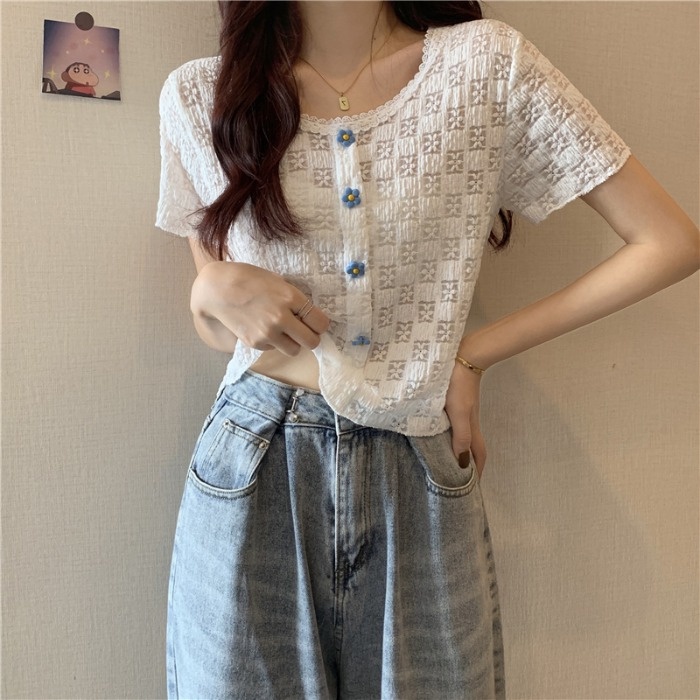 Áo Sơ Mi chiffon Tay Ngắn Kiểu Dáng Đơn Giản Trẻ Trung