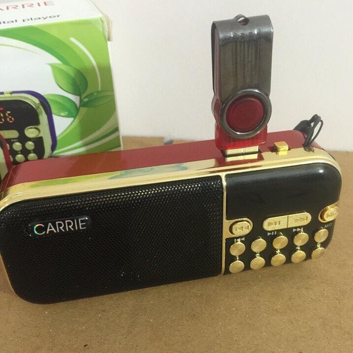 LOA CẮM USB - THẺ NHỚ