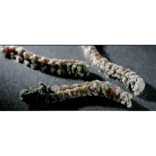 Ức chế côn trùng - CÔN TRÙNG BUG