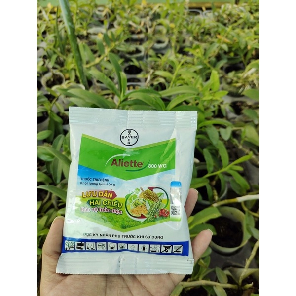 Aliette 800WG – Thuốc Trị Thối Gốc,Rễ