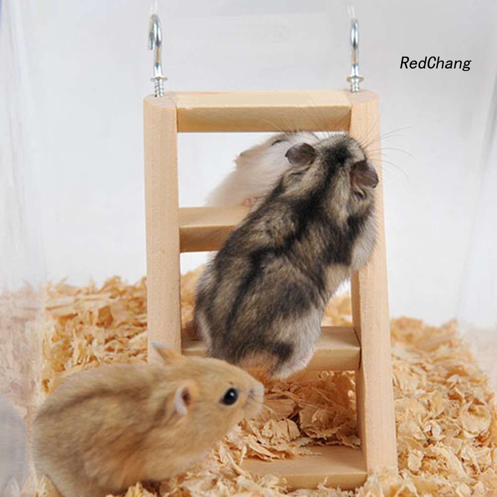 Đồ Chơi Thang Leo Trèo Bằng Gỗ Vui Nhộn Cho Chuột Hamster