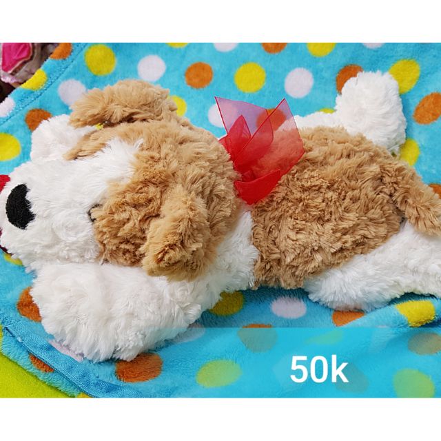 Gấu bông chó xù Mỹ lông cực mềm mịn  Shopee Việt Nam