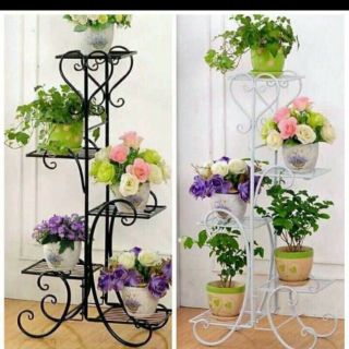 Kệ để cây cảnh