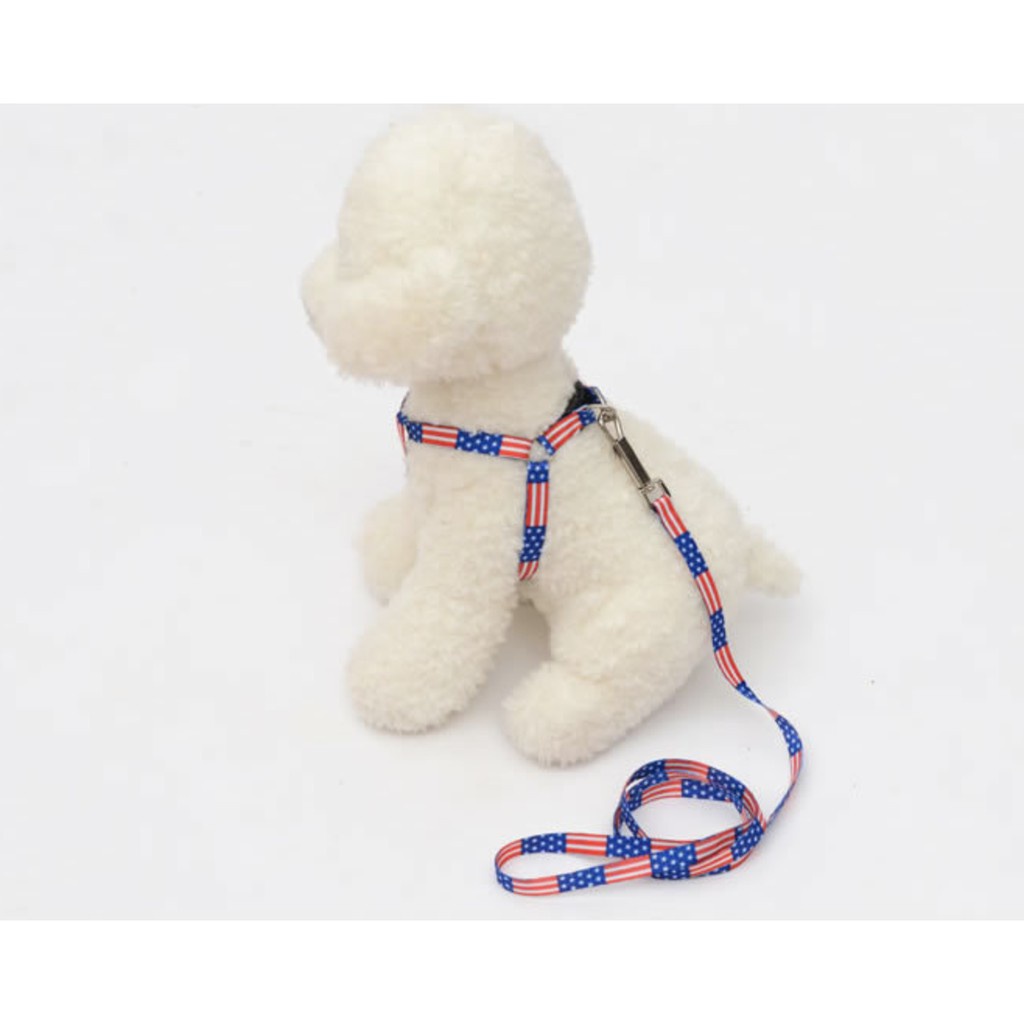 Dây Dắt Chó Mèo Thú Cưng Đi Dạo Kèm Tếm Đủ Màu Sắc