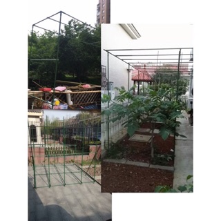 ống thép bọc nhựa làm giàn cho hoa leo ,giàn leo  phi 11 1m2,1m5,1m8