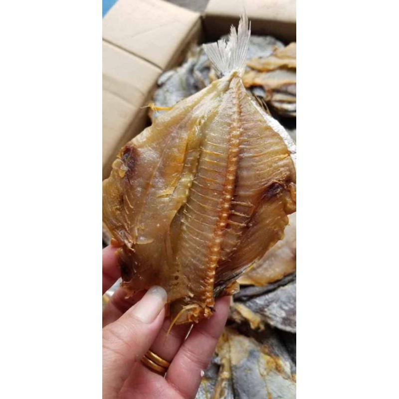 Cá xứa, Cá én, Cá chim biển, Cá hạt bí túi 1kg
